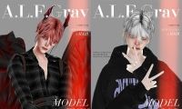 ALFGrayͷHair08حԪر̷ver.6