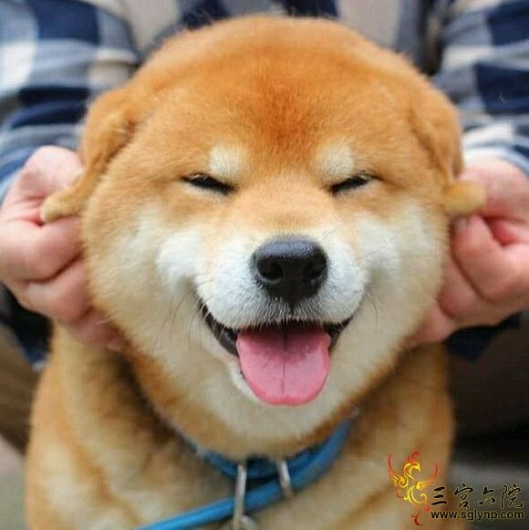 Ȯ