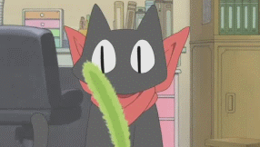 QQͼƬ20170515195109.gif