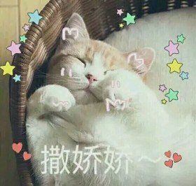 20170126121522_RwE58.thumb.700_0.jpeg