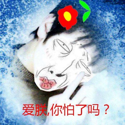 011640r46is8wv46r6q6ls.jpg