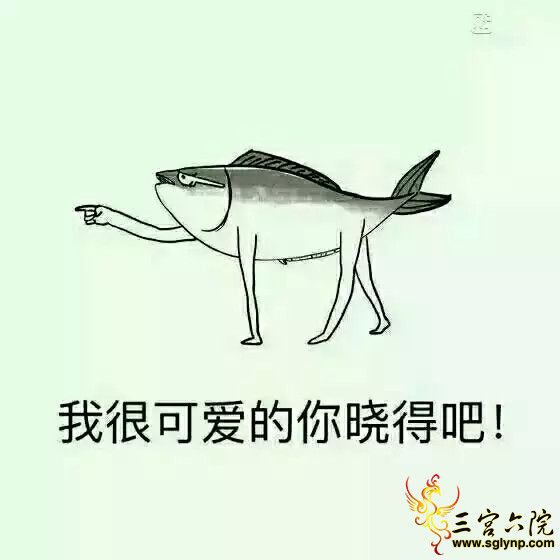 1984279435.png