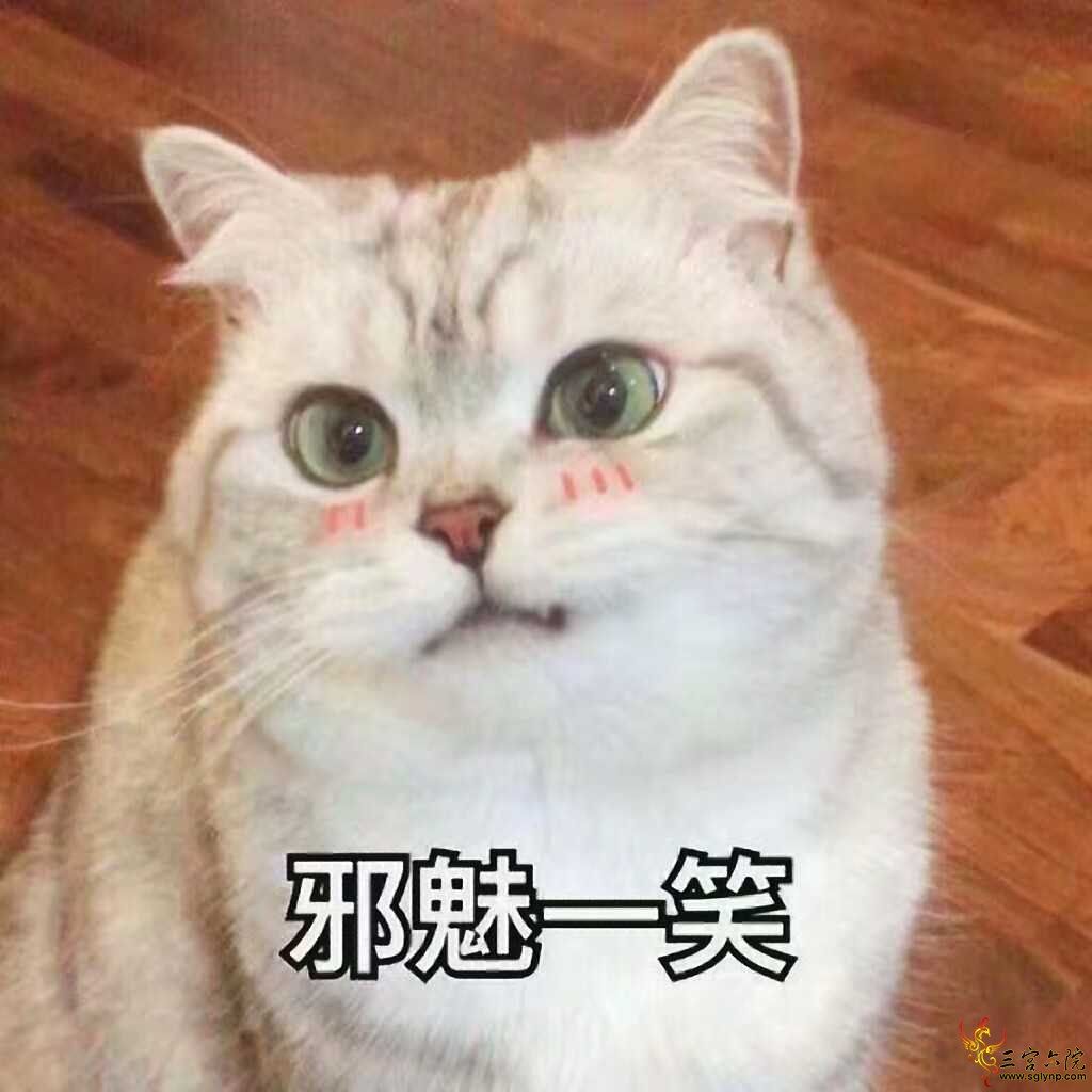 1509623104865.jpeg