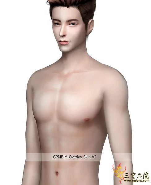 GPME M-Overlay Skin V2.png