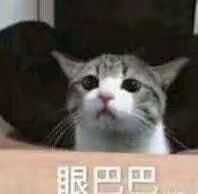 1519355920498.jpeg
