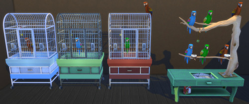 Bird Cage and Parrot.png