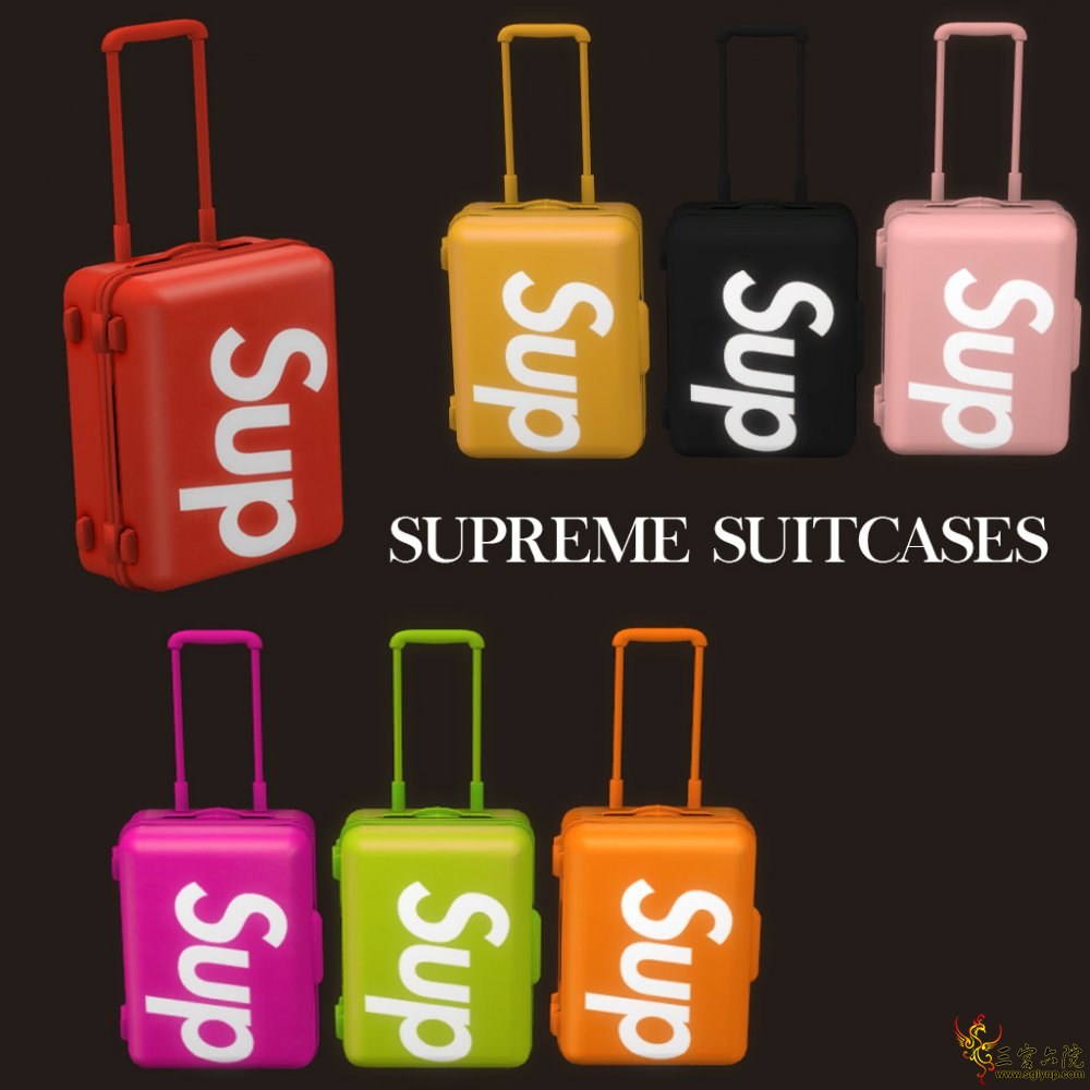 leo-supreme-suitcase.jpg