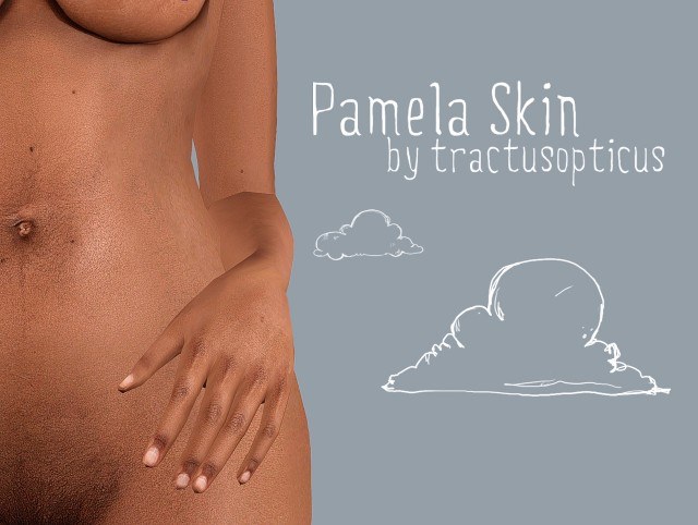 Pamela Skin by tractusopticus.jpg