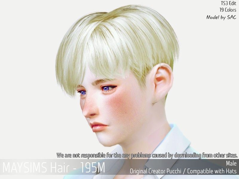 MaySims Hair 195 M-.png