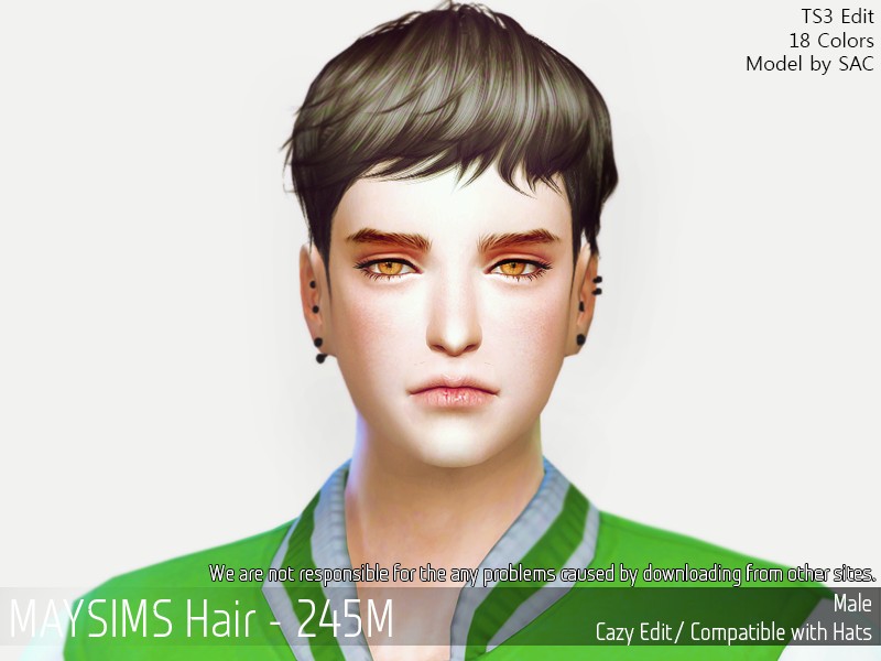 May_TS4_Hair245M.png