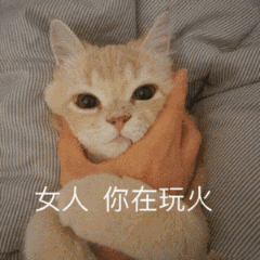 TIMͼƬ20180806200704.gif