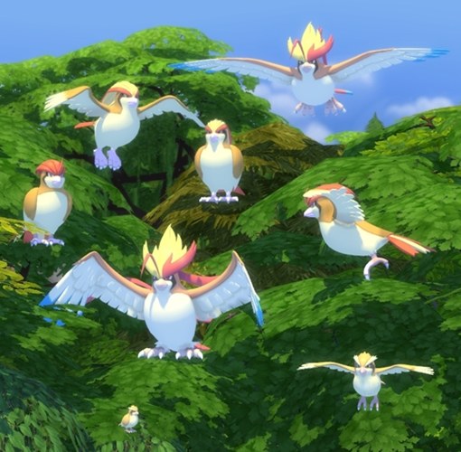 [MOON]Sims4-Pokemon-Pidgey_Pidgeotto_Pidgeot.jpg