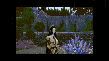 15.gif