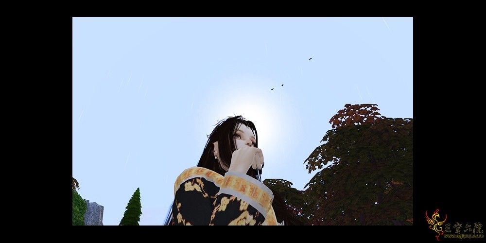 06.jpg