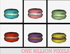 OBP Edible Macarons.png