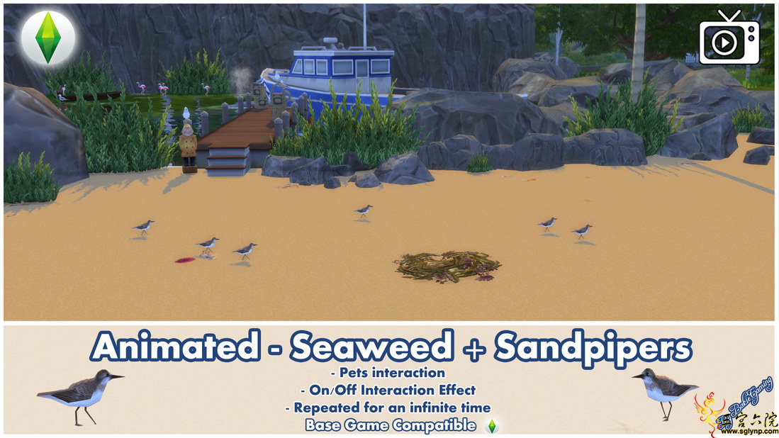 MTS_Bakie-1782380-BakieGaming-Animated-SeaweedSandpipers-Thumbnail.jpg