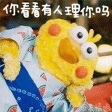 t0139b866aae801632b.jpg