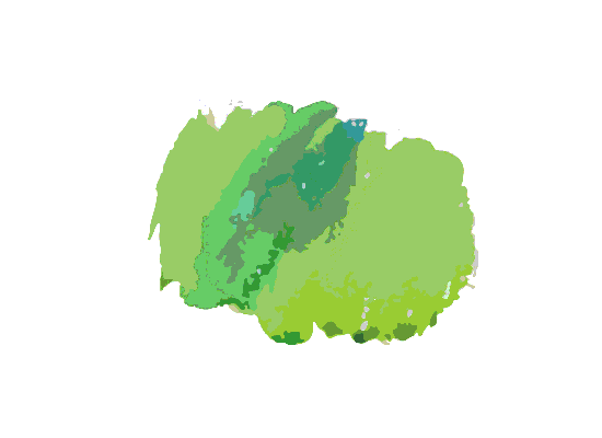 ̬-1.gif