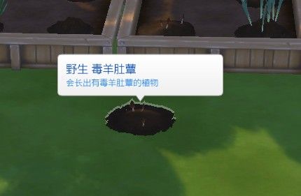 ڼԼֵʾҰ