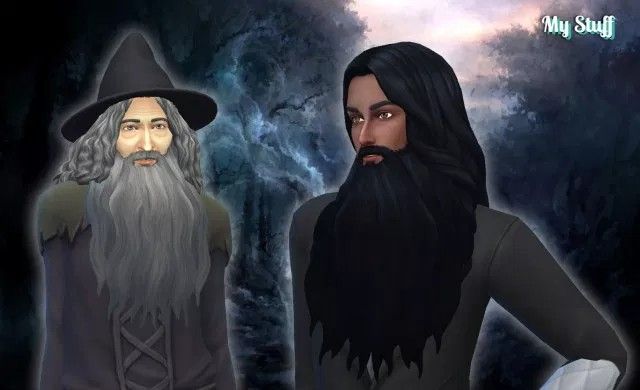 Wizard Beard by KiaraZurk.png