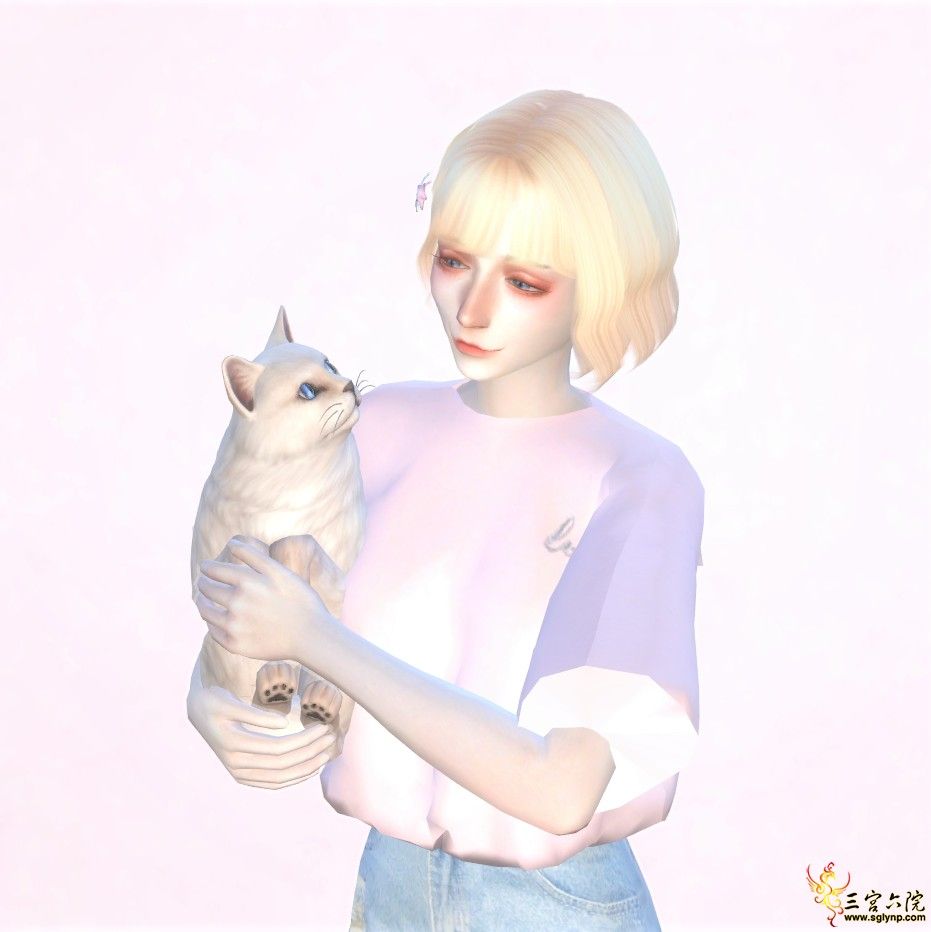 3.png