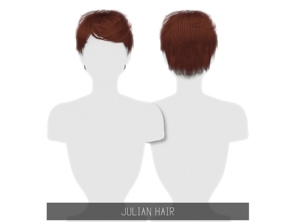 Simpliciaty_JulianHair.jpg