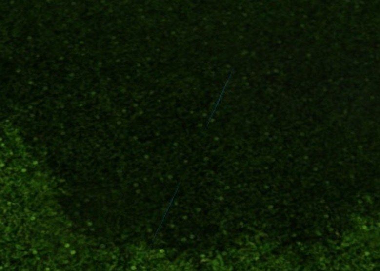 003.jpg
