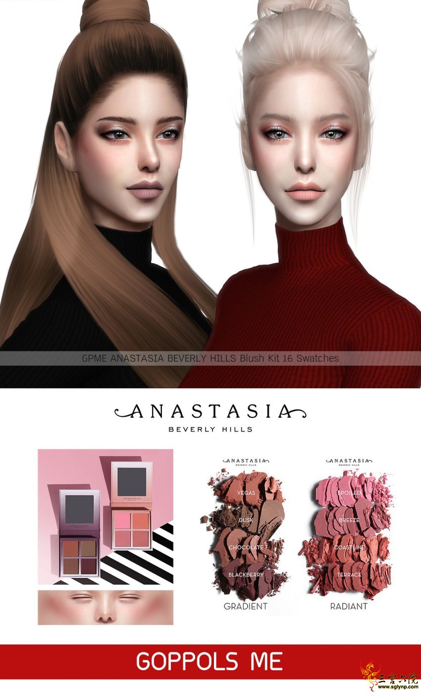 GPME ANASTASIA BEVERLY HILLS Blush Kit.jpg