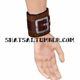 [ShaTsai]LCZ-Wristband (2).jpg