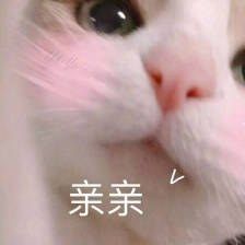20180213145100_eyvrh.jpg