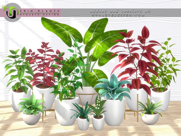 Erin Plants II.jpg