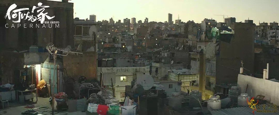 p2777677.jpg