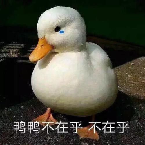 QQͼƬ20190602205504.jpg