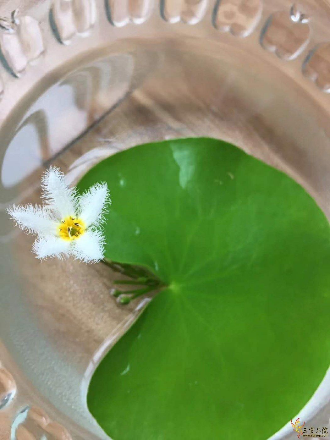 ΢ͼƬ_20190625145335.jpg