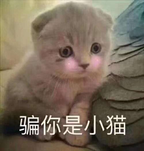 u=185484310,3095340396&amp;fm=26&amp;gp=0.jpg