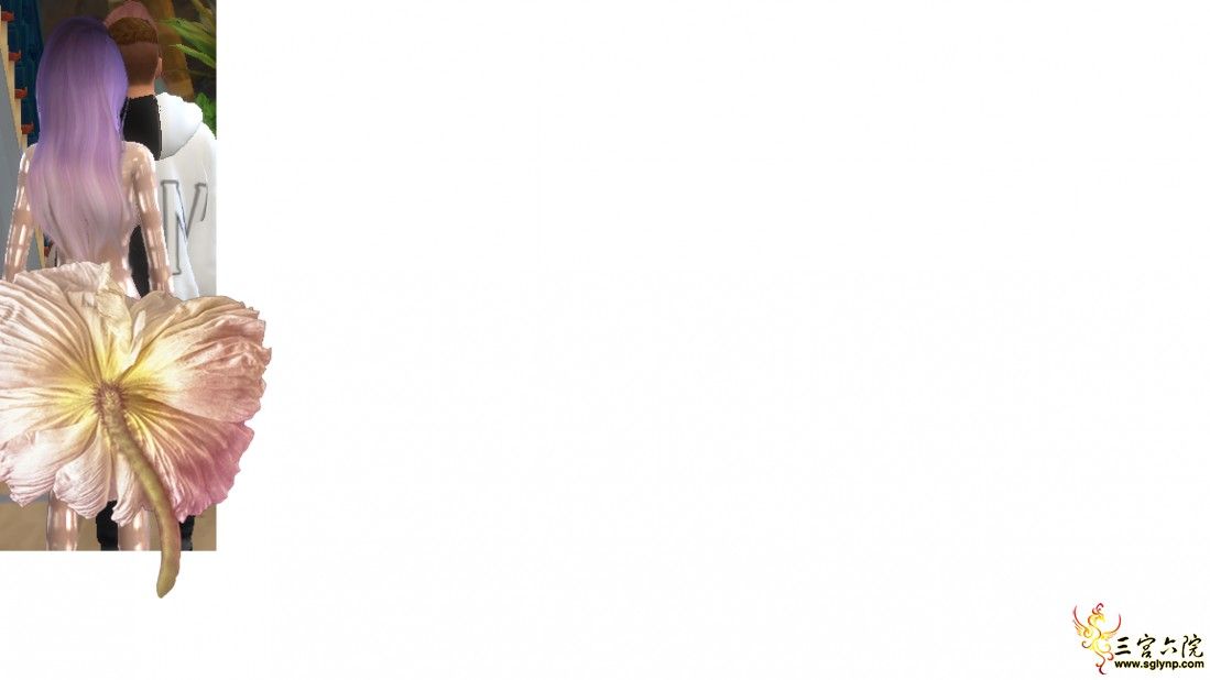 ޱ.png