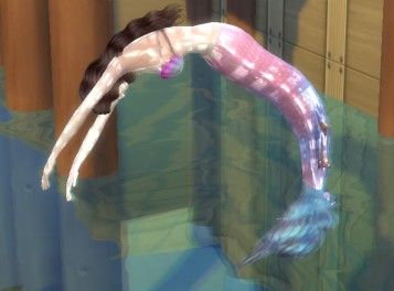 3.PNG