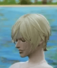 2019-8-13 9-29-24.png