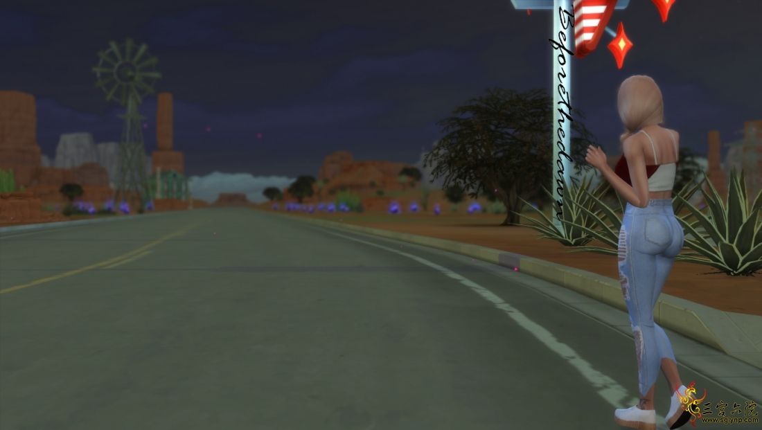 17.jpg