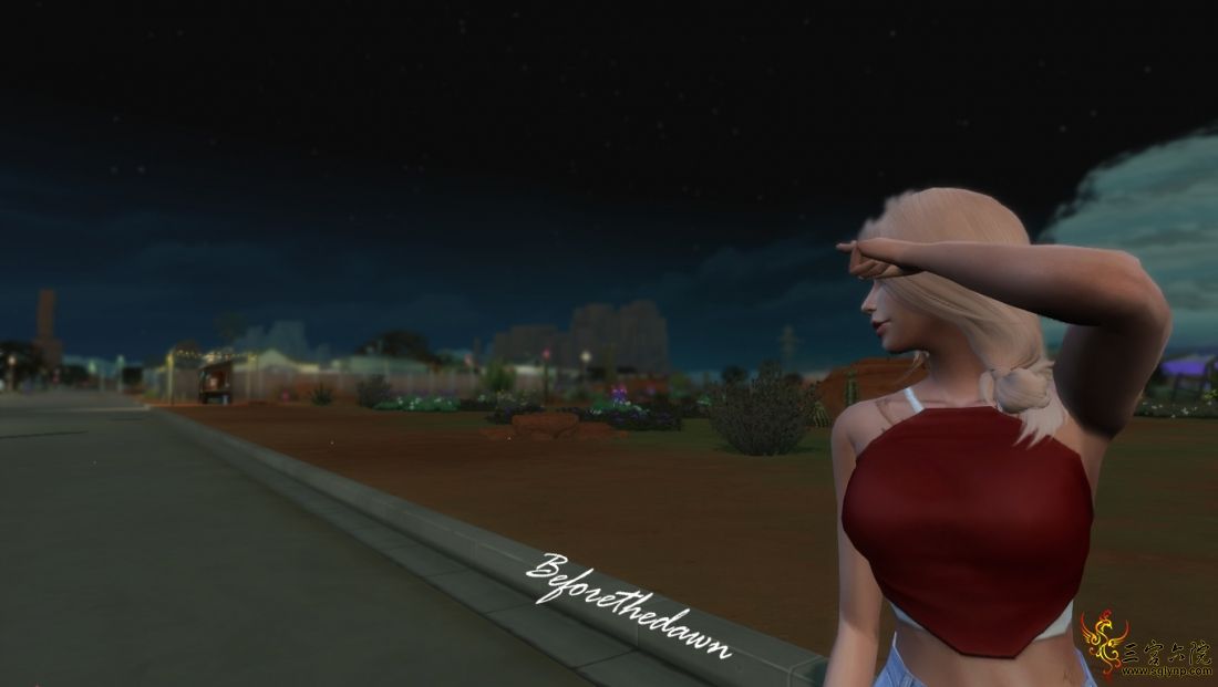 19.jpg