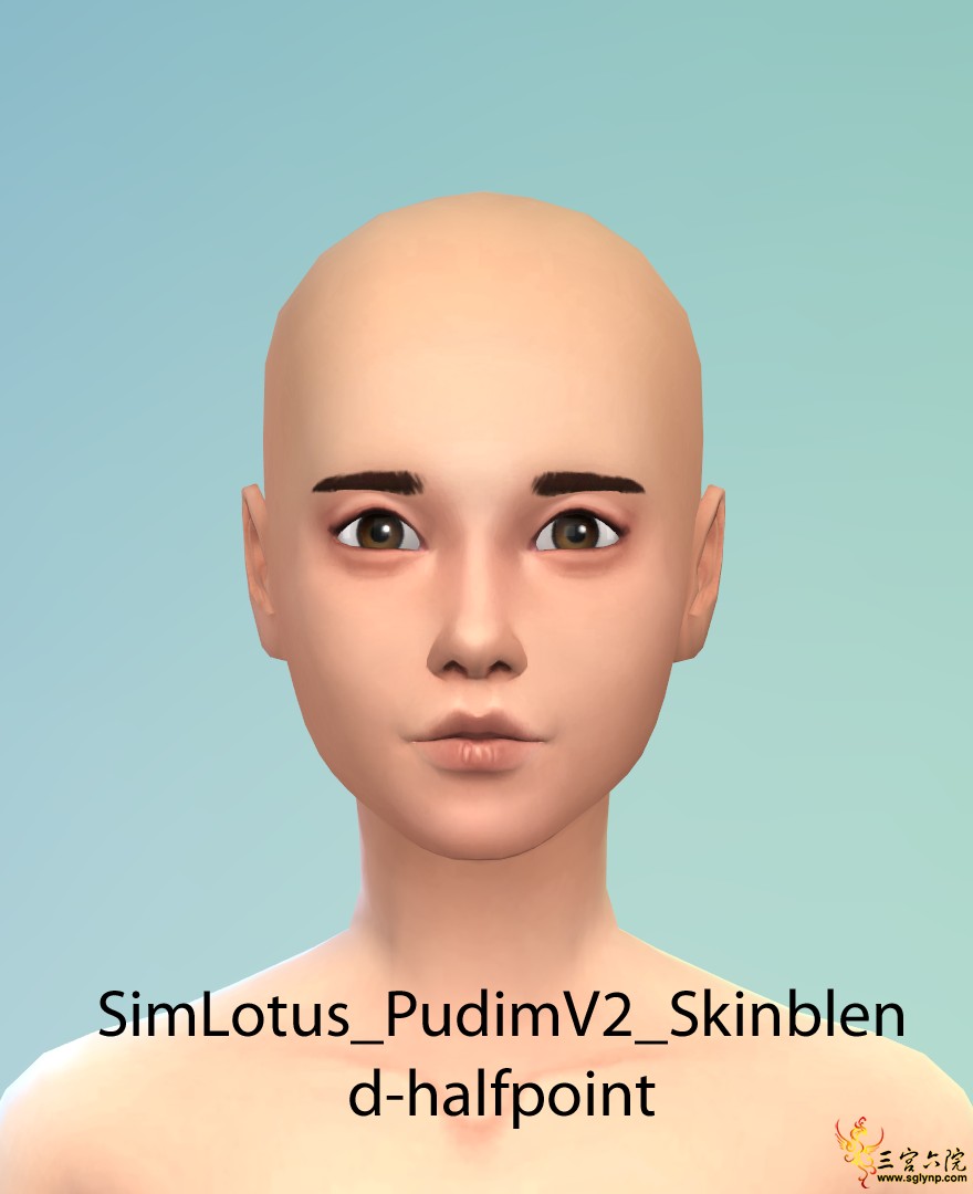 SimLotus_PudimV2_Skinblend-halfpoint.png