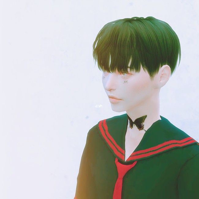 ao.02.png