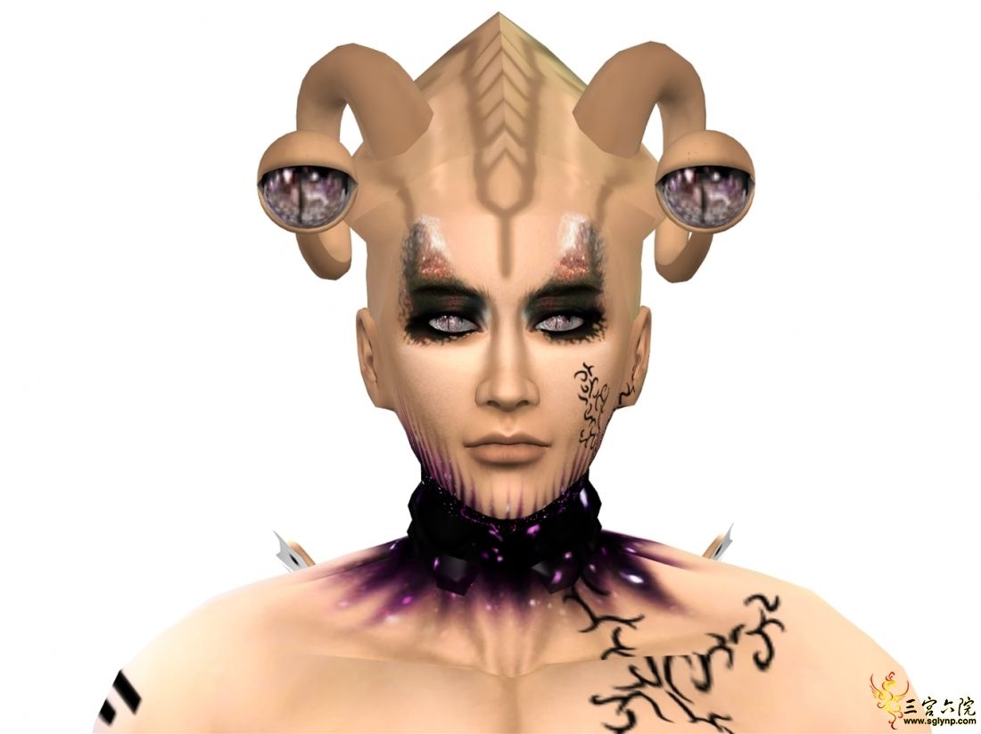 03.jpg