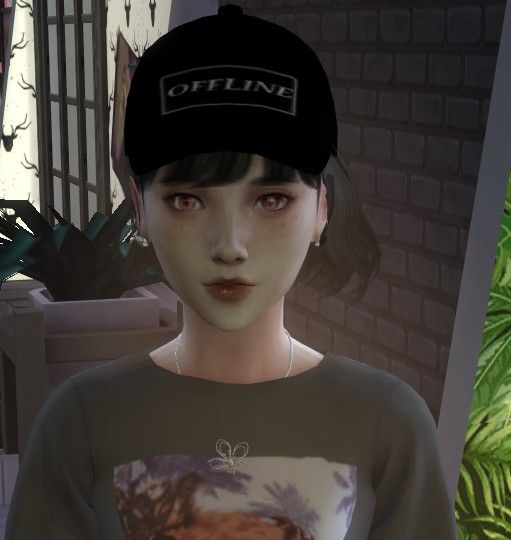 6768.PNG