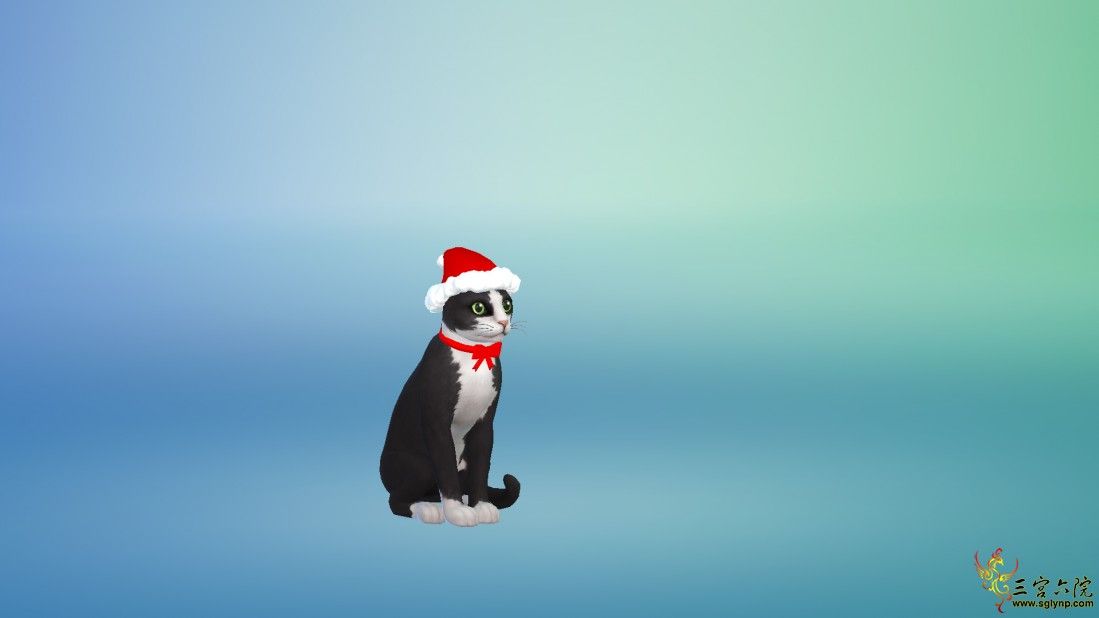 2019-12-15_&amp;#160;21-50-28.png
