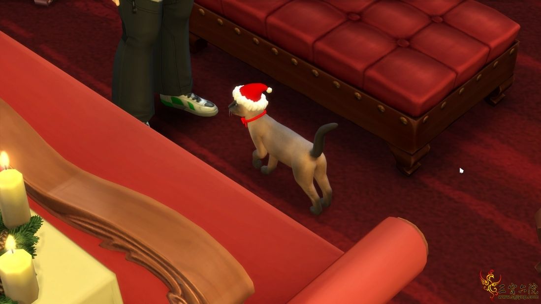 TS4_x64_2019-12-17_19-15-01.jpg