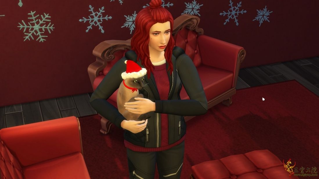 TS4_x64_2019-12-17_19-14-28.jpg