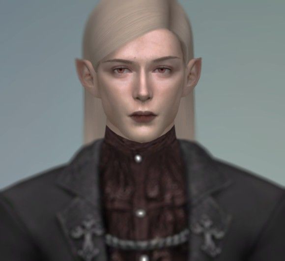 7a5e3b292df5e0fead6f7f784b6034a85edf7211.jpg.png