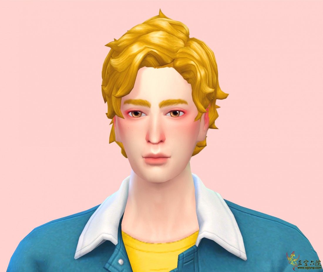 TS4_x64 2020-02-05 13-03-52.png