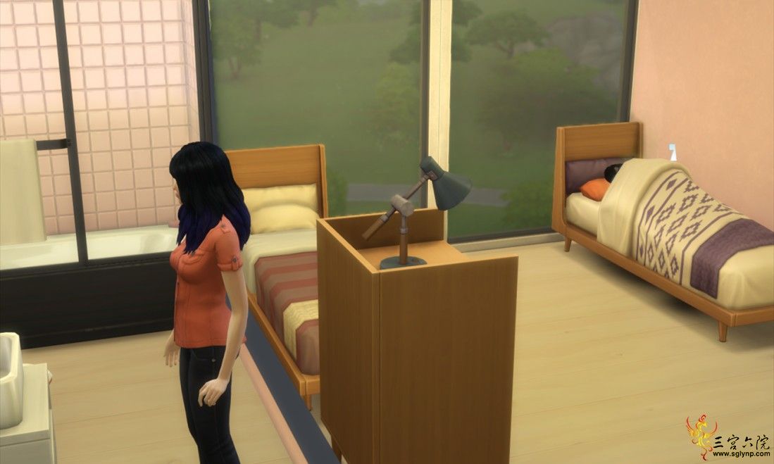 The Sims? 4 2020_2_11 11_30_47_.png